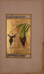 A Mughal Miniature Portraying the Care of a Hummingbird by Mohan Prajapati