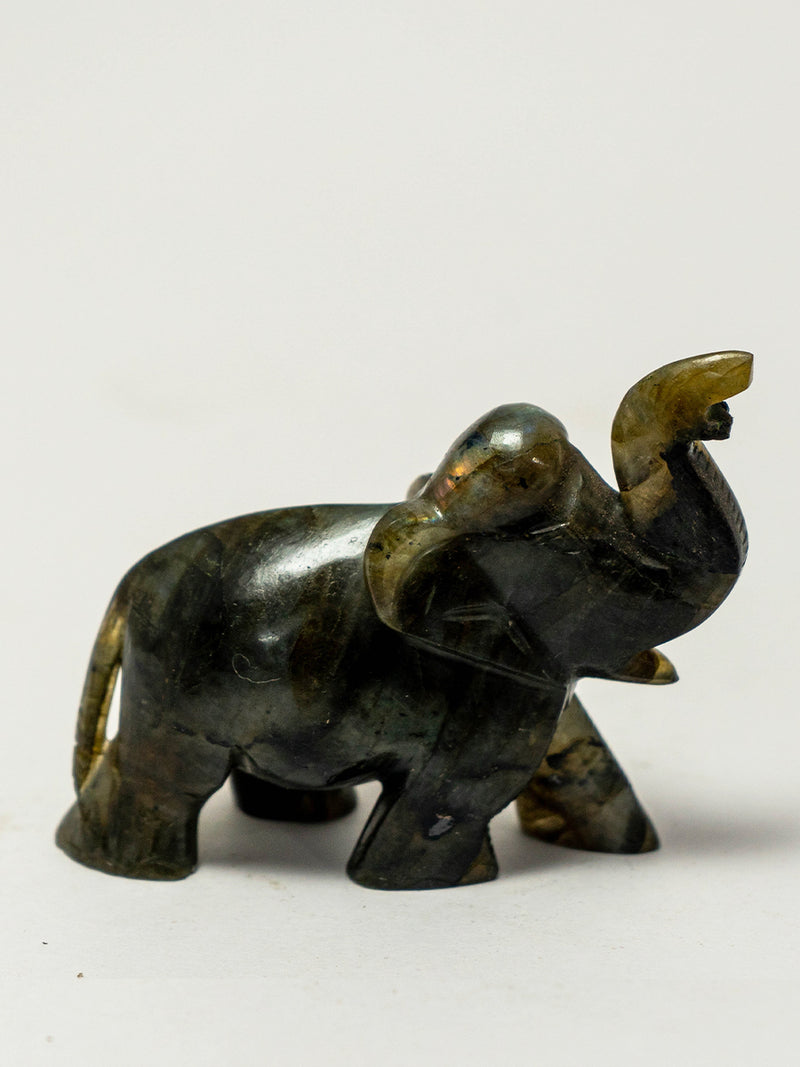 Labradorite Carving of an Elephant by Prithvi Kumawat