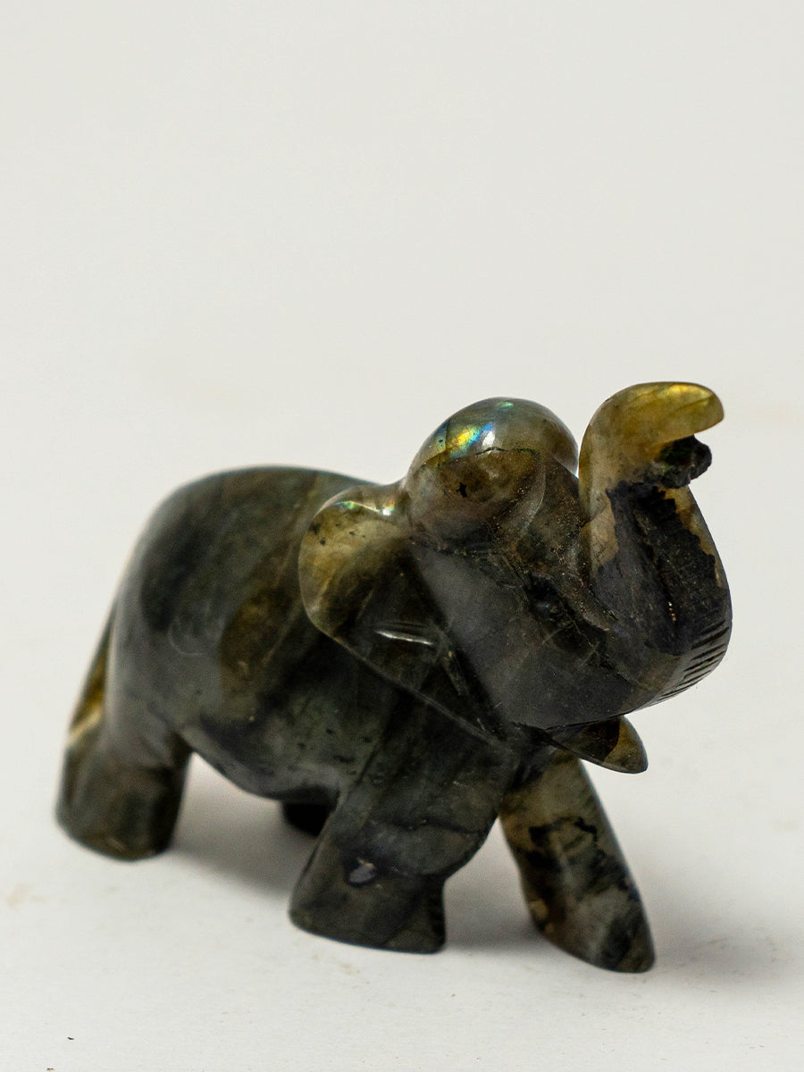 Mystical Splendor: Labradorite Carving of an Elephant by Prithvi Kumawat