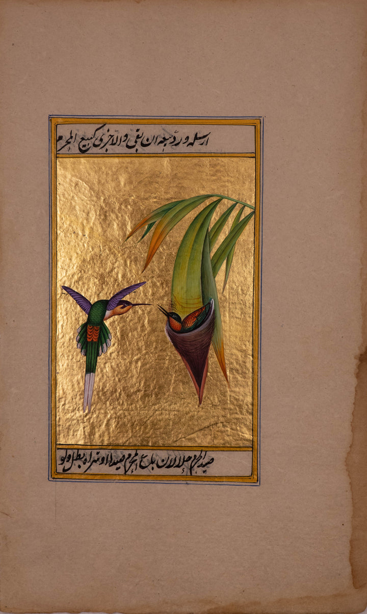 Nurturing Wings: A Mughal Miniature Portraying the Care of a Hummingbird by Mohan Prajapati Thumbnail