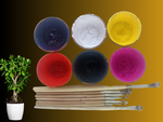 Pichwai Traditional Art Kit for Pichwai Masterclass