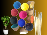 Pichwai Traditional Art Kit for Pichwai Masterclass (12 natural colour set)