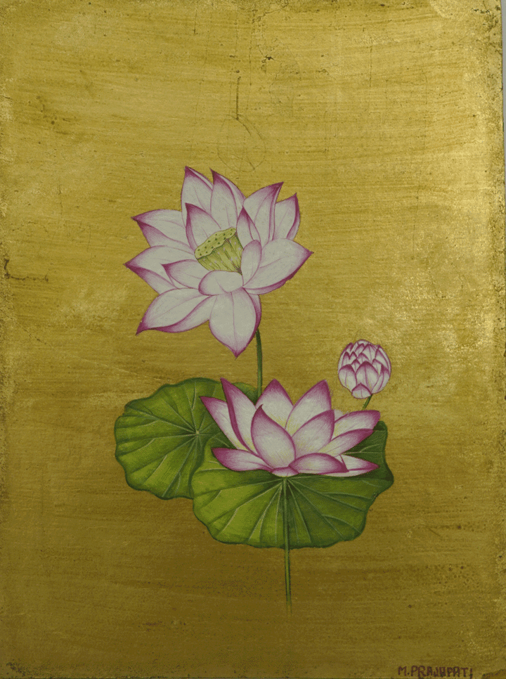 Pink Lotus In Mughal Miniature by Mohan Prajapati Thumbnail