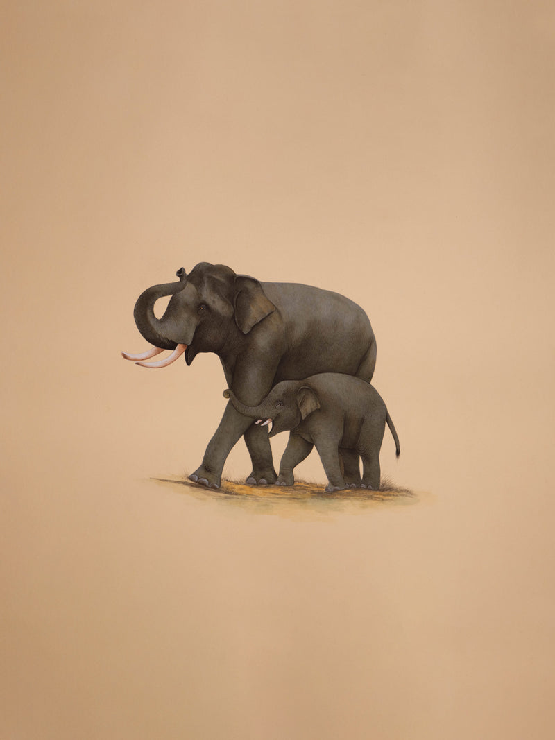 Buy Rays of Happiness A Mughal Miniature Capturing Elephant Joy by Mohan Prajapati
