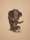 Buy Regal Stroll A Mughal Miniature Symphony of Elephant Harmony by Mohan Prajapati