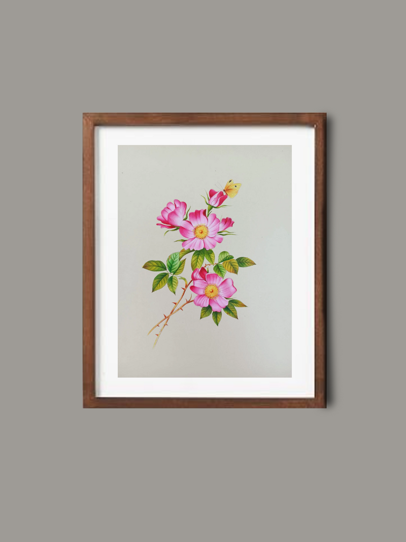 Shop Rosa Canina in Miniature Painting by Mohan Prajapati