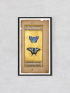 A Mughal Miniature of Tawny Emperor and Montezuma Cattleheart Butterflies
