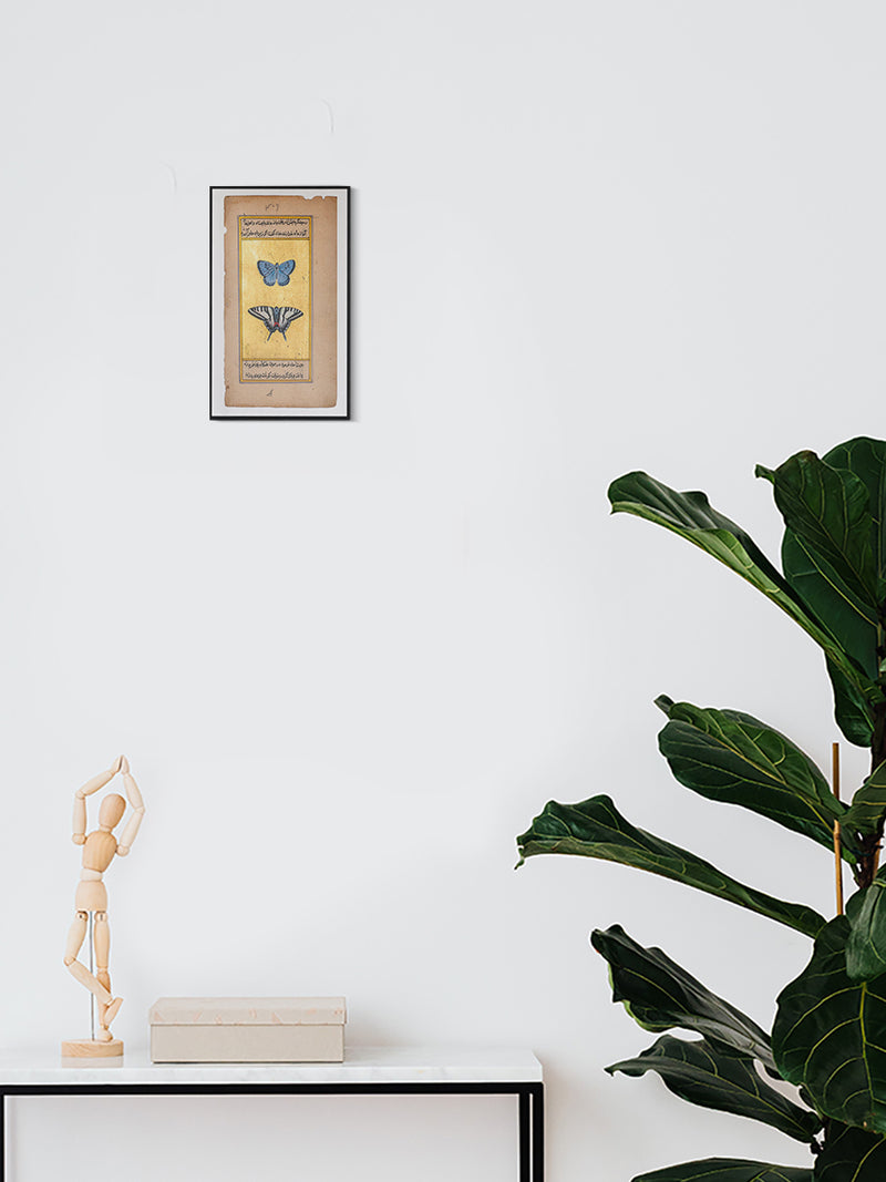 Shop A Mughal Miniature of Tawny Emperor and Montezuma Cattleheart Butterflies