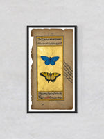 The Celestial Pas de Deux: A Tale of Adonis Blue and Tiger Swallowtail Butterflies by Mohan Prajapati
