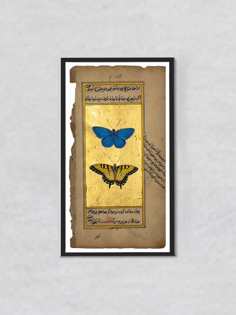 The Celestial Pas de Deux: A Tale of Adonis Blue and Tiger Swallowtail Butterflies by Mohan Prajapati