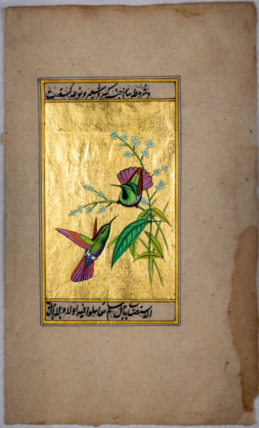 The Enchanted Encounter: The Delicate Encounter of Pink-Feathered Hummingbirds by Mohan Prajapati Thumbnail