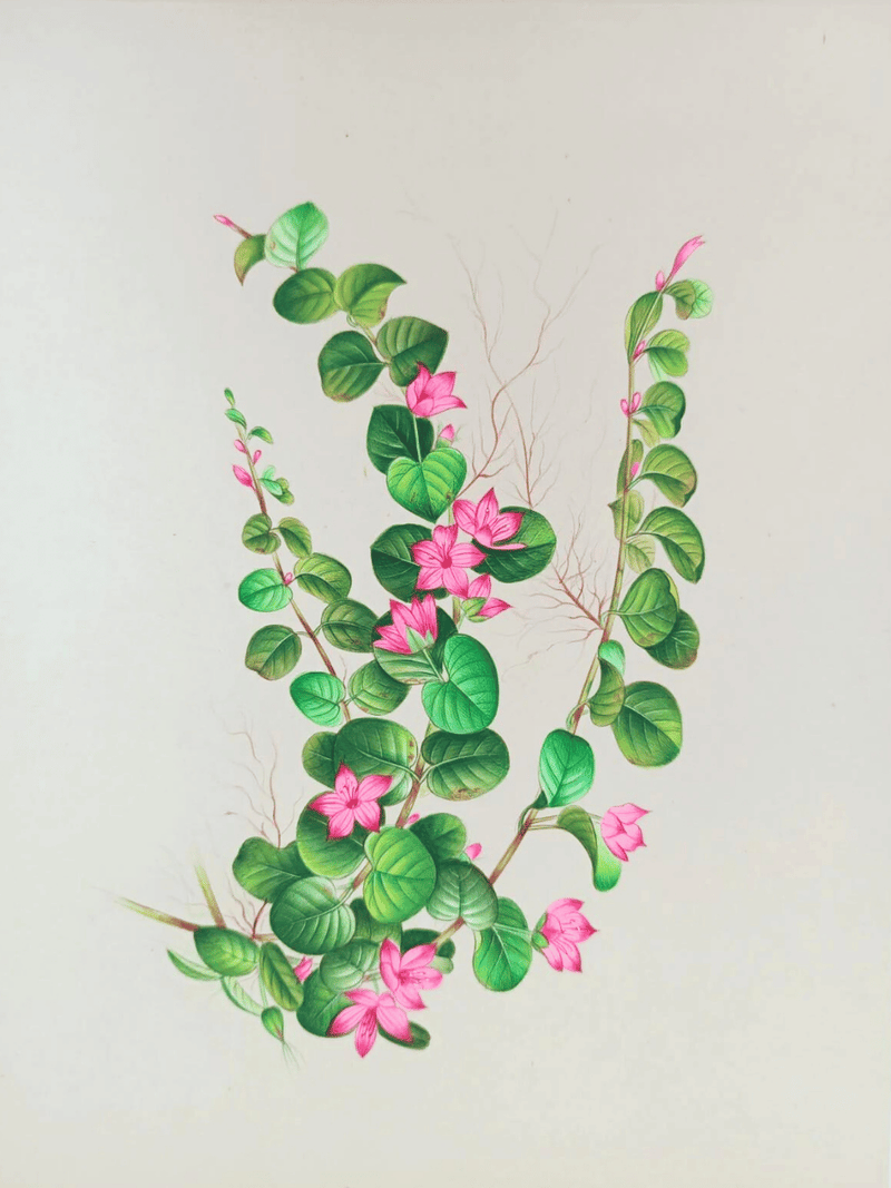 Buy The Flower Illustration in Miniature Painting by Mohan Prajapati