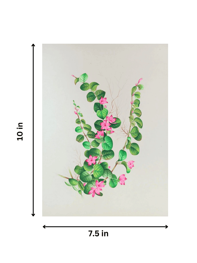The Flower Illustration in Miniature Painting for sale
