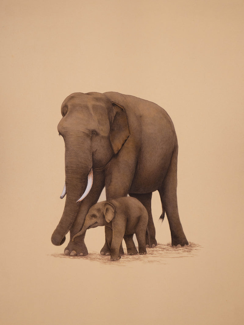 Buy The Language of Trunks A Mughal Miniature Depicting Love by Mohan Prajapati