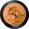 Shop The Lotus Pond Decor Plate in Terracotta by Dolon Kundu