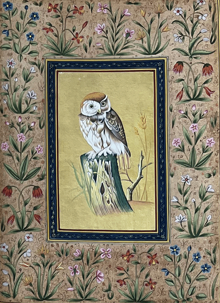 The Watchful Guardian- Owl in Mughal Miniature by Mohan Prajapati Thumbnail