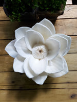 Tranquil Whispers: A Shola Pith Carving of a Water Lily Sholapith Flower by Arup Malakar