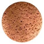Wall Hanging of Flowers and Nature  in Terracotta art by Dolon Kundu