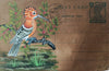 To shop Wetland Whispers: A Woodpecker's portrayal Miniature Painting 