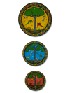 Buy Set of 3 Nature Pattachitra Wall Plates