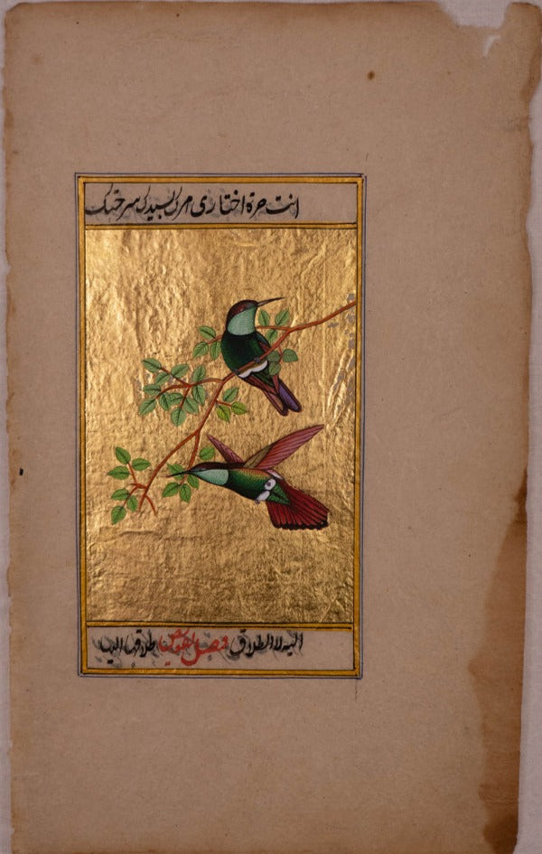 Winged Splendor: A Mughal Miniature Celebrating the Grace of Hummingbirds by Mohan Prajapati Thumbnail