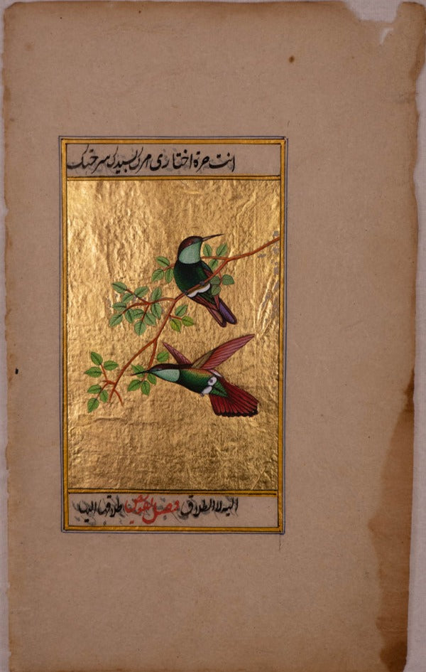  A Mughal Miniature Celebrating the Grace of Hummingbirds by Mohan Prajapati