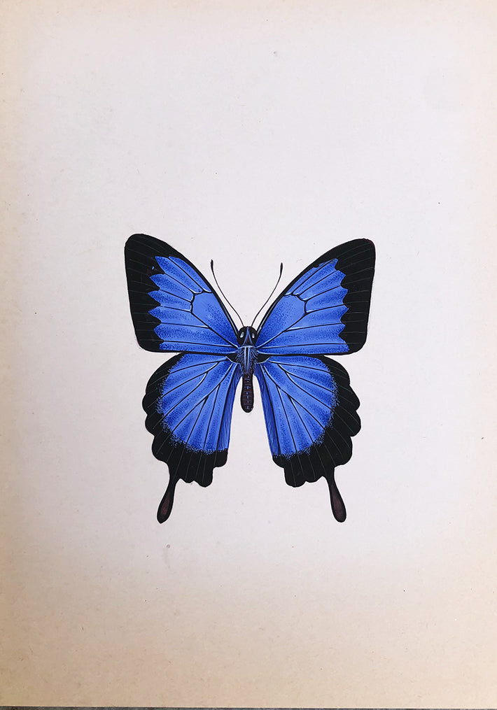 The Beautiful Butterflies in Miniature Painting by Mohan Prajapati Thumbnail