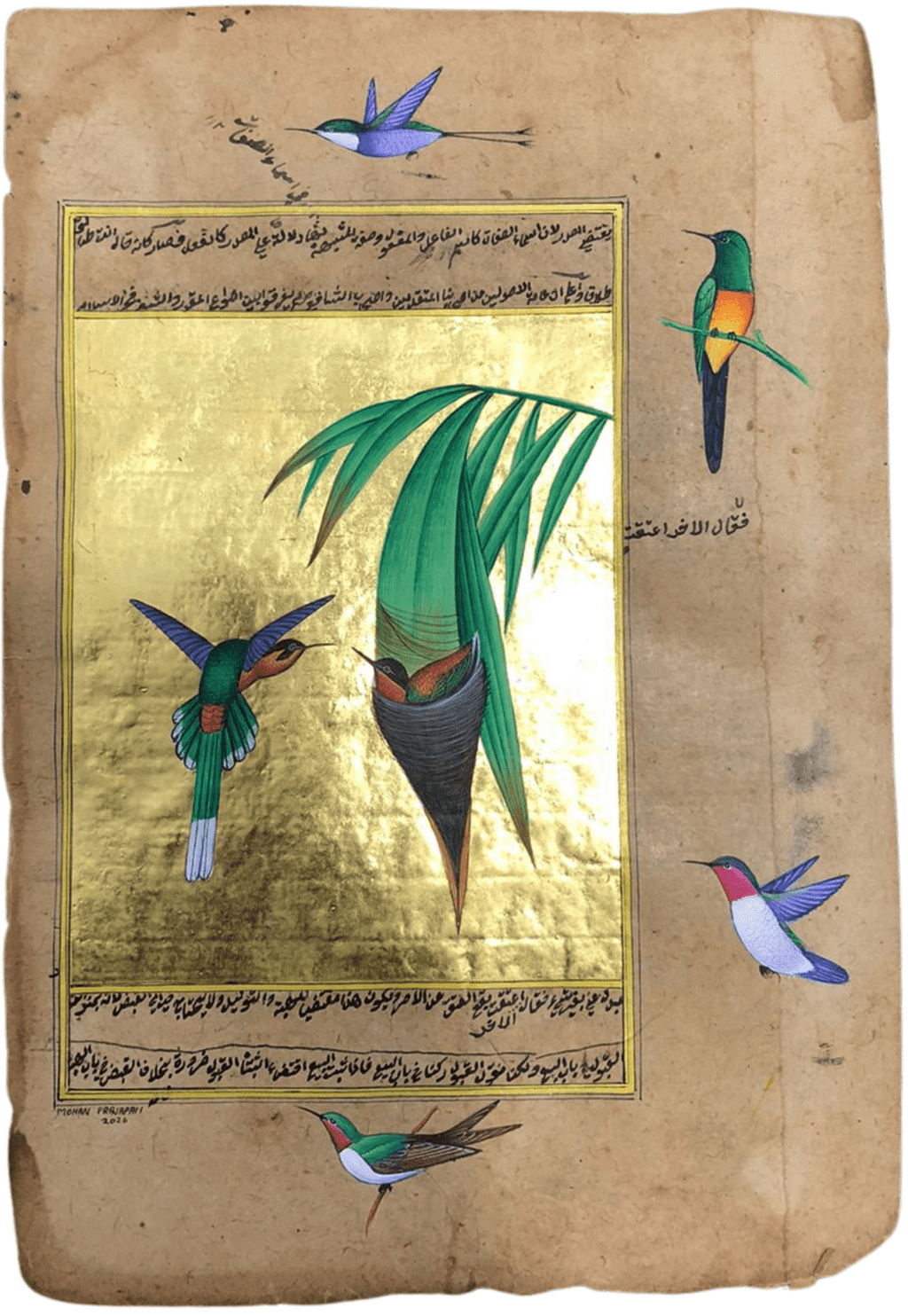A Tailorbird Nesting Sanctuary in Mughal Miniature by Mohan Prajapati Thumbnail