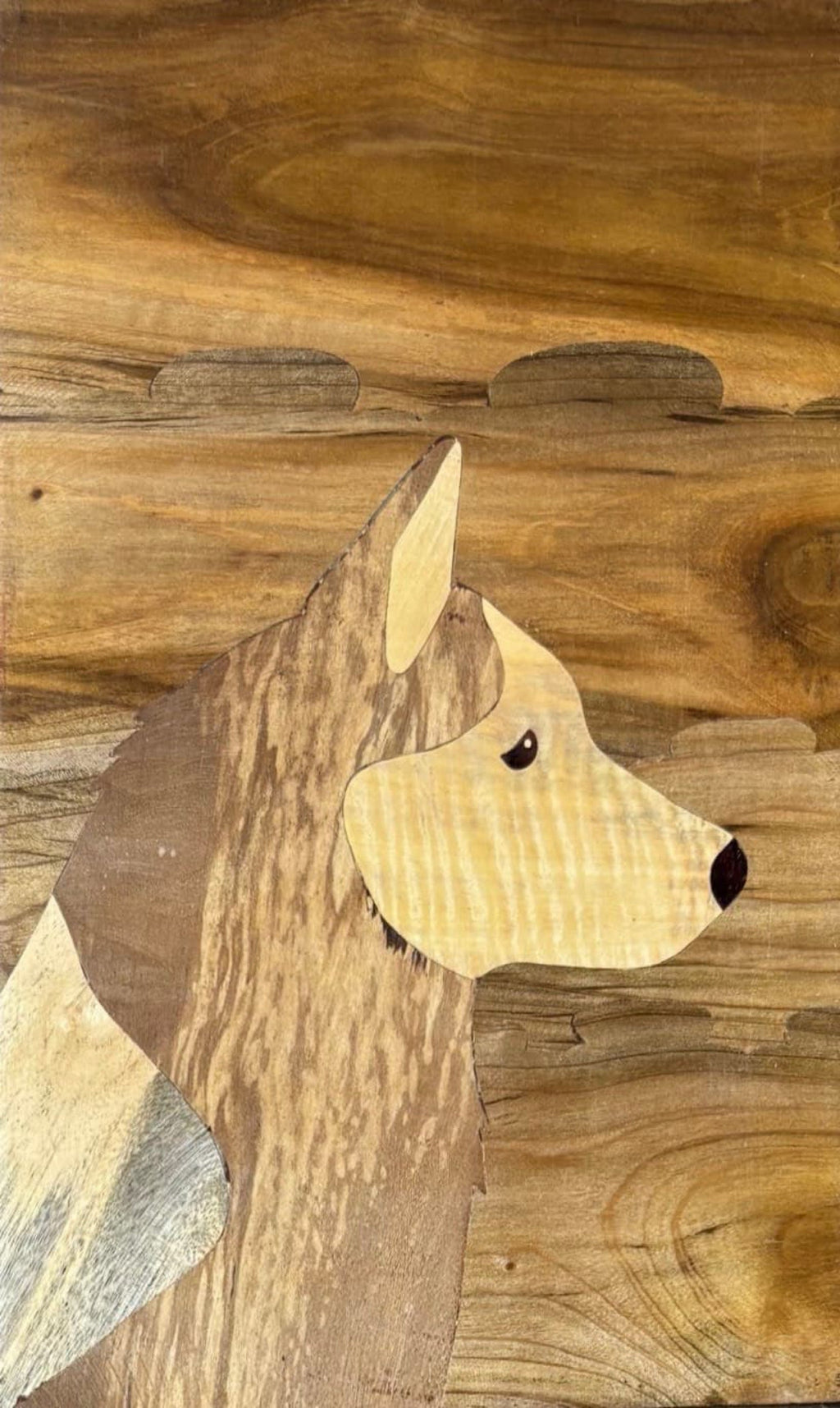 Husky in stillness in wood inlay by Mohan Kumar Thumbnail