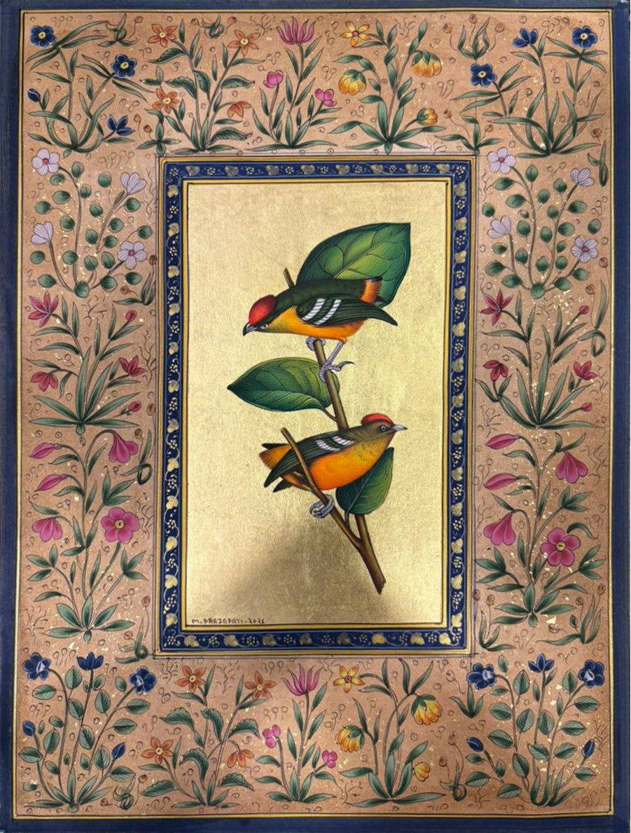 The Band-tailed Manakin: A Courtship Study in Mughal Miniature by Mohan Prajapati Thumbnail