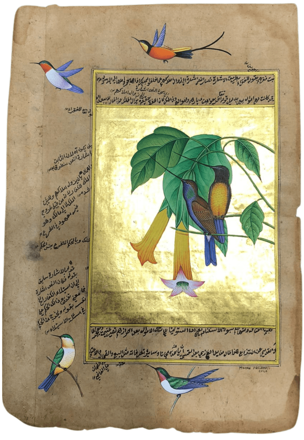 The Hummingbirds and Angel's Trumpet in Mughal Miniature by Mohan Prajapati Thumbnail
