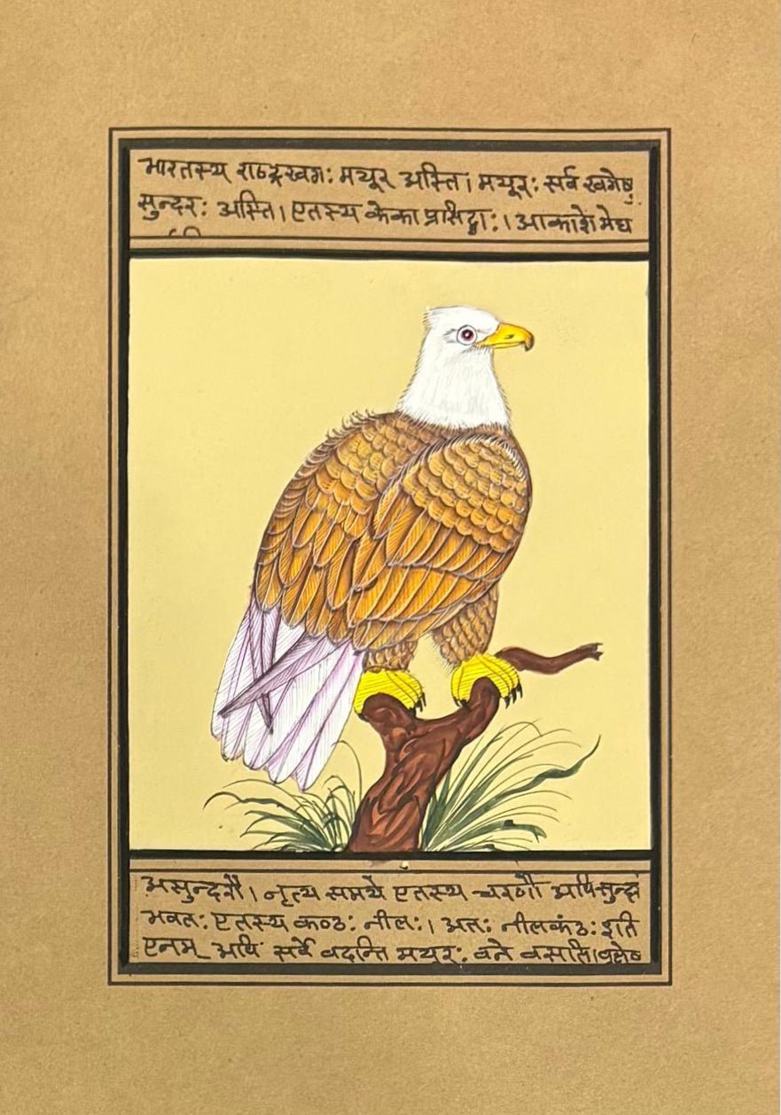 The Perched Eagle in Mughal Miniature by Mohan Prajapati Thumbnail