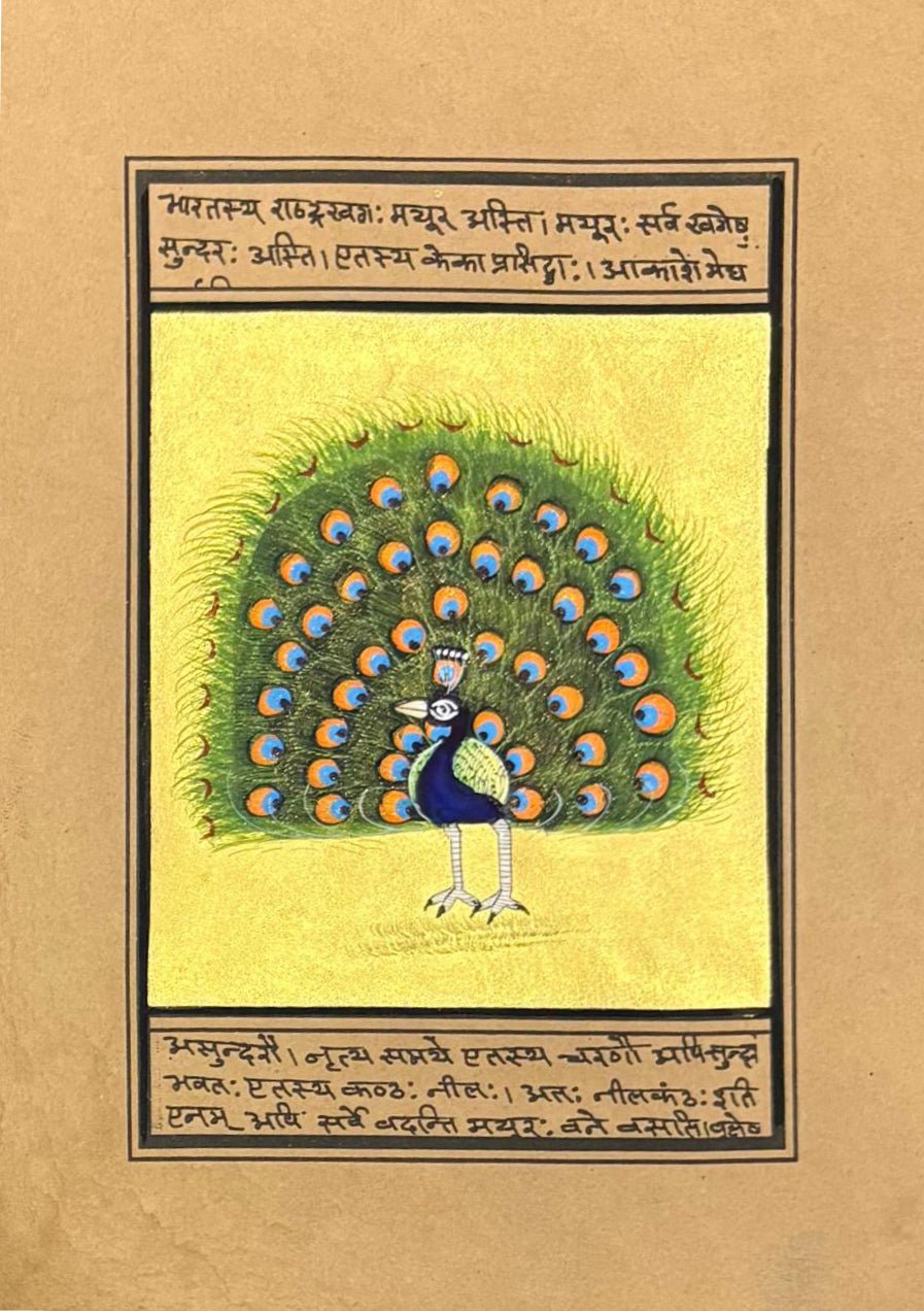 The proud peacock in Mughal Miniature by Mohan Prajapati Thumbnail