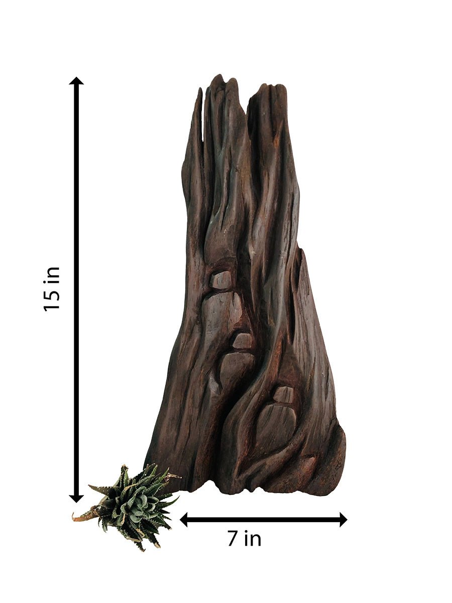The Wanderer's Wood in Driftwood Craft by Suresh Pant Thumbnail