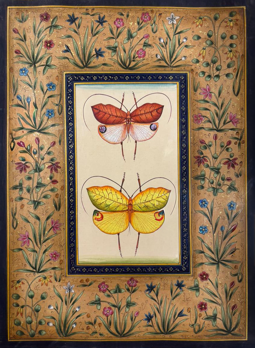 Twin Jewels of the Garden in Mughal Miniature by Mohan Prajapati Thumbnail
