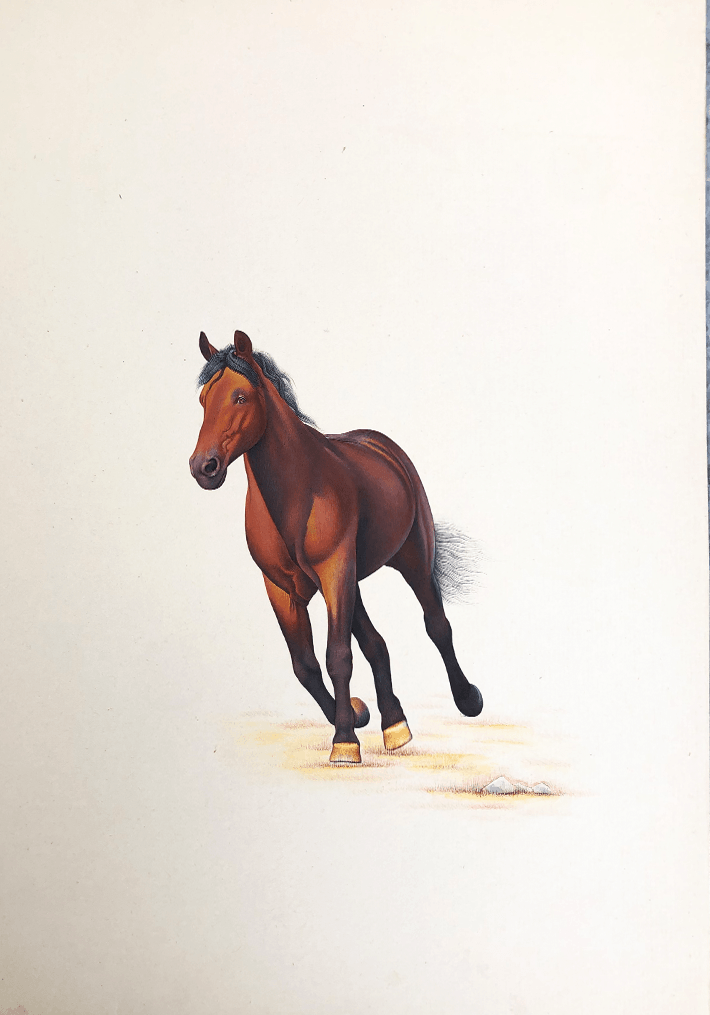 A Swift Horse in Miniature Painting by Mohan Prajapati Thumbnail
