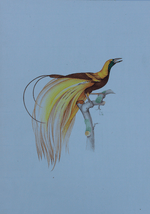 Bird of Paradise in Miniature Painting by Mohan Prajapati