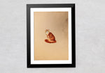 Buy Handmade Cat Miniature style Painting by Mohan Prajapati