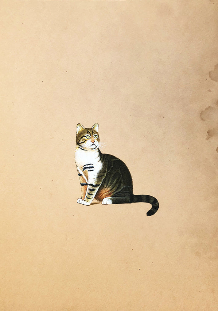 Buy Cat Miniature style Art by Mohan Prajapati | Indian wall Painting ...