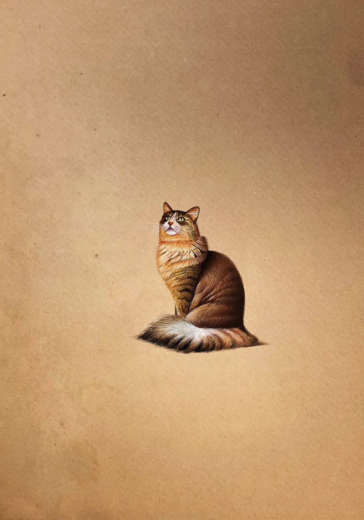 Buy Beautiful Cat Miniature style Painting