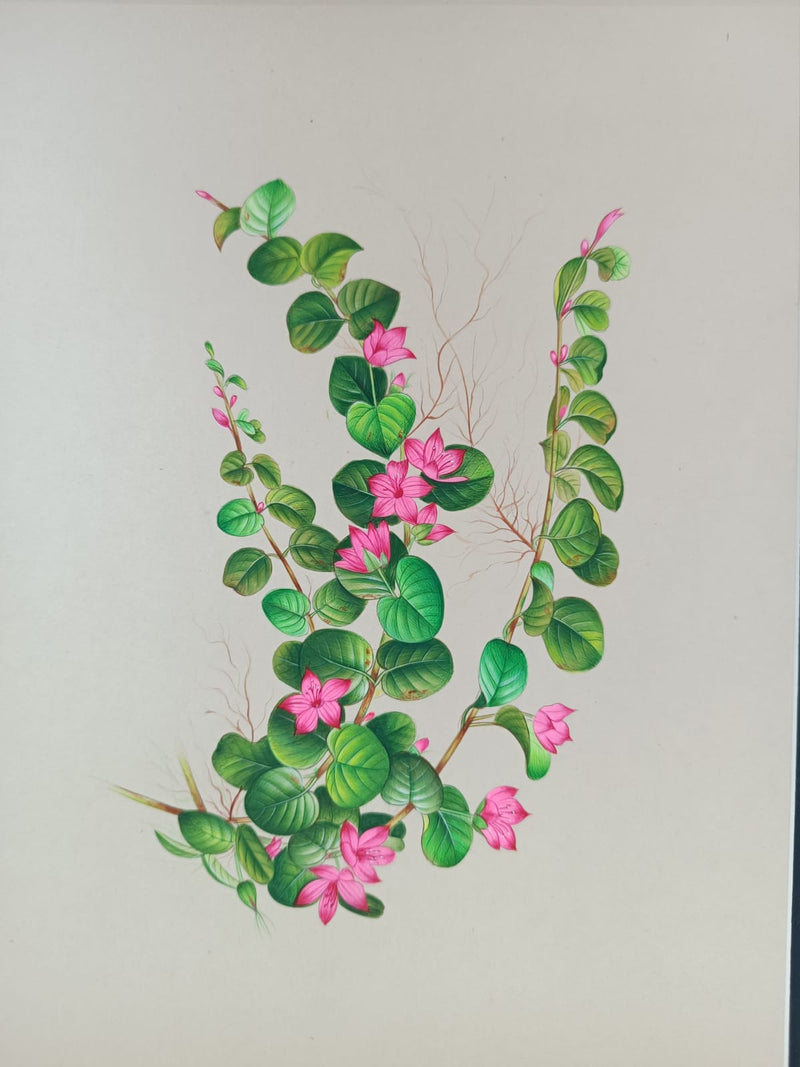 The Flower Illustration in Miniature Painting by Mohan Prajapati