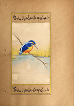 A Radiant Kingfisher in Miniature Painting by Mohan Prajapati