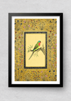 A Colorful Parrot in Miniature Painting by Mohan Prajapati