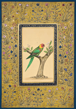 A Kaleidoscopic Parrot in Miniature Painting by Mohan Prajapati