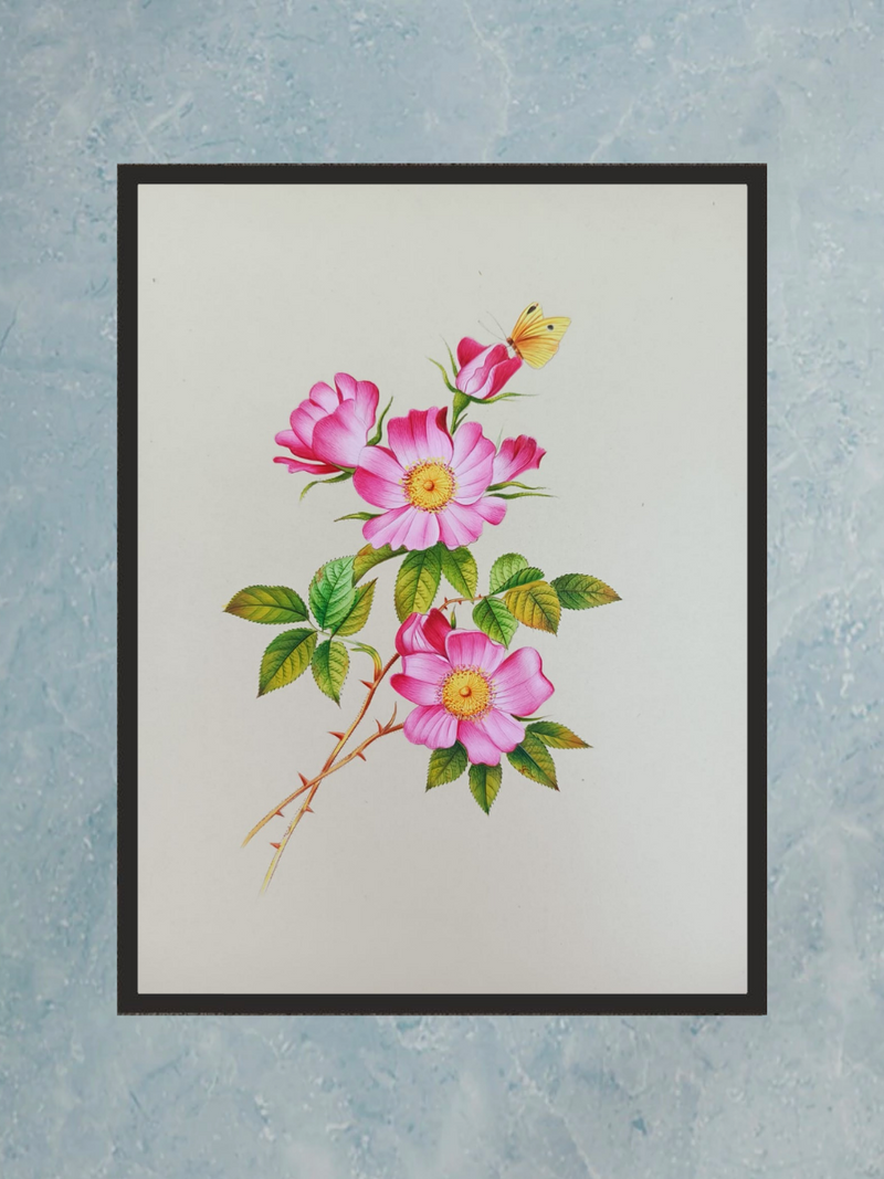 Rosa Canina in Miniature Painting by Mohan Prajapati