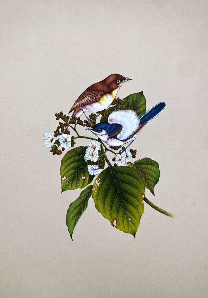 Cheery Sparrows in Miniature Painting by Mohan Prajapati Thumbnail