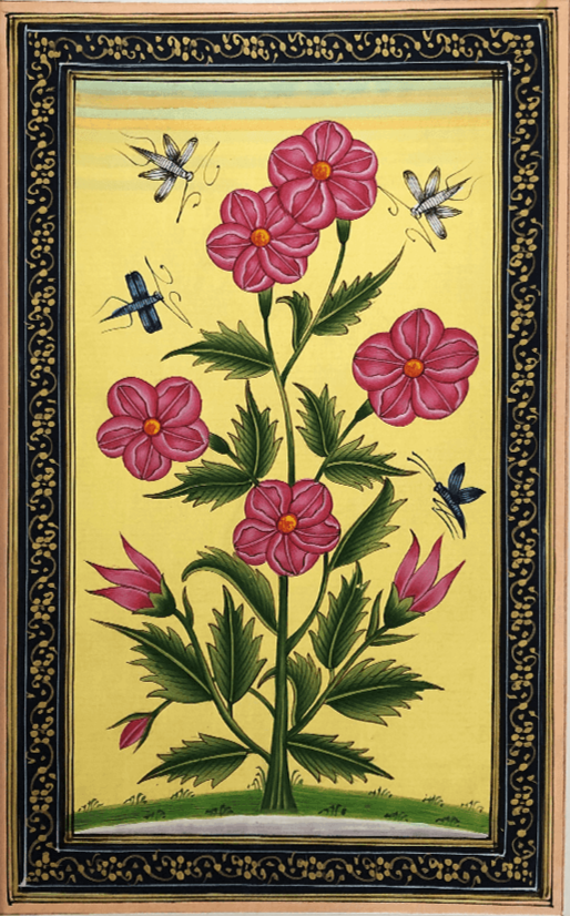 The Mughal Flowers in Miniature Painting by Mohan Prajapati Thumbnail