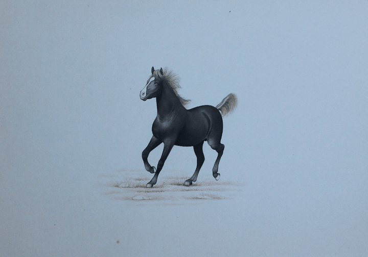 The Wild Horses in Miniature Painting by Mohan Prajapati Thumbnail