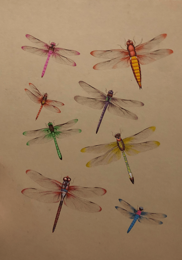 Buy The Elusive Grasshoppers in Miniature Painting by Mohan Prajapati
