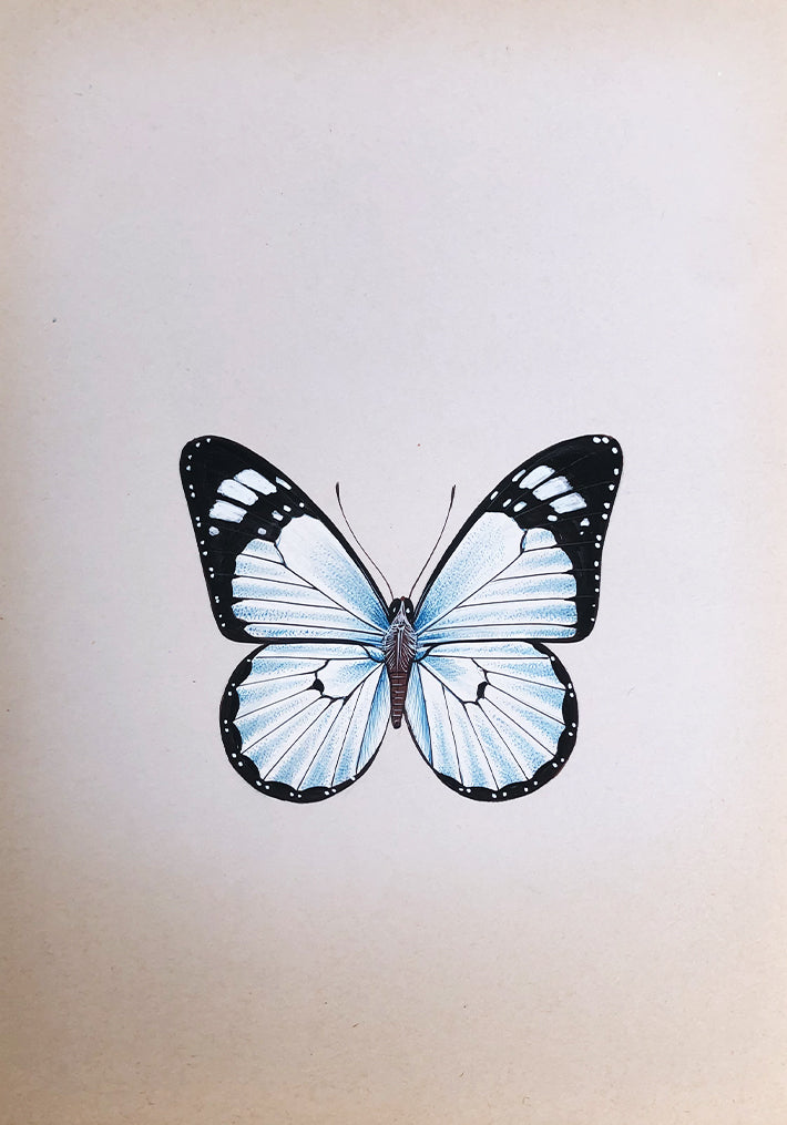 A Graceful Butterfly in Miniature Painting by Mohan Prajapati Thumbnail